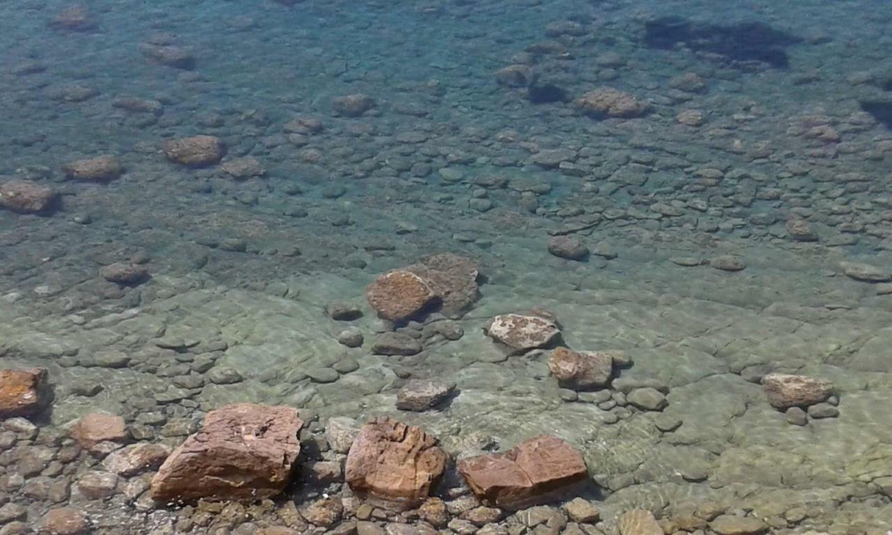 Tenuta Marga Agnone Cilento 외부 사진