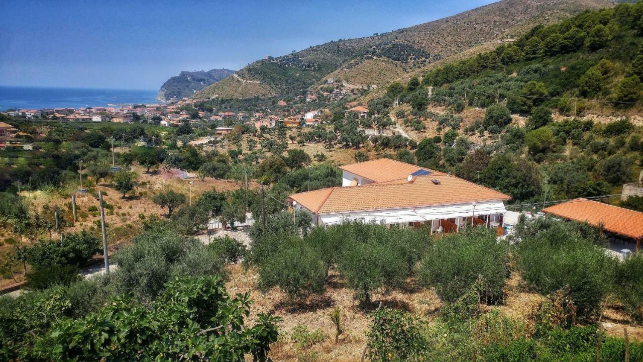 Tenuta Marga Agnone Cilento 외부 사진